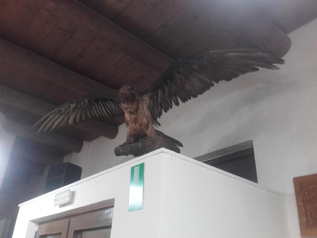 Apartament To Ellinikon Omalós Zewnętrze zdjęcie